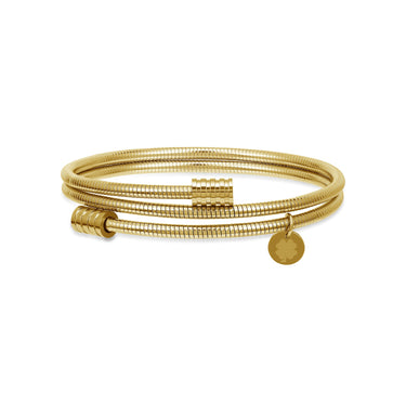 #color_gold