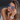 #color_gold-and-blue